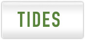 Tides Fundation